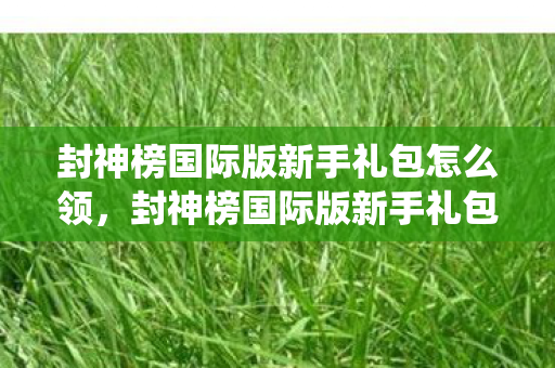 封神榜国际版新手礼包怎么领,封神榜国际版新手礼包全解析,助你快速启程,畅游仙途 封神榜国际版新手礼包怎么领,封神榜国际版新手礼包全解析,助你快速启程,畅游仙途