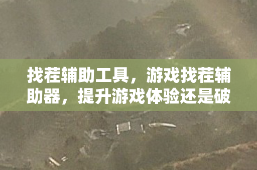 找茬辅助工具,游戏找茬辅助器,提升游戏体验还是破坏游戏平衡? 找茬辅助工具,游戏找茬辅助器,提升游戏体验还是破坏游戏平衡?