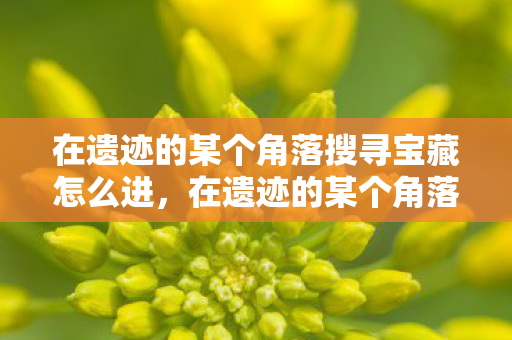 在遗迹的某个角落搜寻宝藏怎么进,在遗迹的某个角落搜寻宝藏 在遗迹的某个角落搜寻宝藏怎么进,在遗迹的某个角落搜寻宝藏