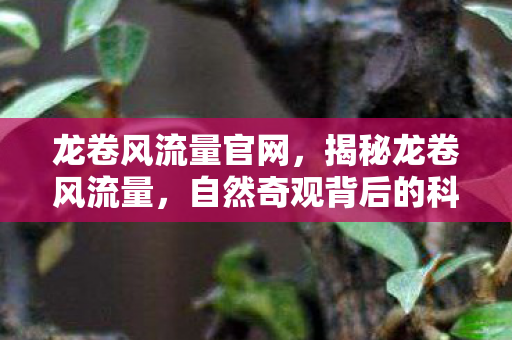 龙卷风流量官网,揭秘龙卷风流量,自然奇观背后的科学原理与影响 龙卷风流量官网,揭秘龙卷风流量,自然奇观背后的科学原理与影响