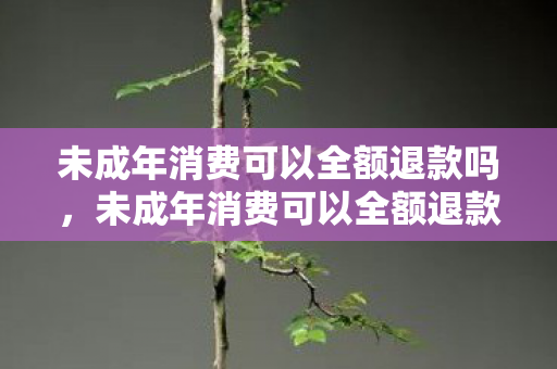 未成年消费可以全额退款吗,未成年消费可以全额退款吗? 未成年消费可以全额退款吗,未成年消费可以全额退款吗?