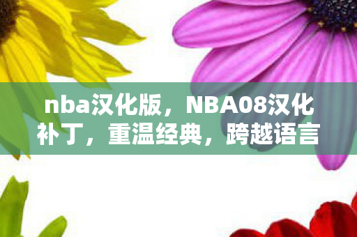 nba汉化版,NBA08汉化补丁,重温经典,跨越语言障碍 nba汉化版,NBA08汉化补丁,重温经典,跨越语言障碍