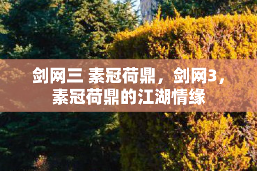 剑网三 素冠荷鼎,剑网3,素冠荷鼎的江湖情缘 剑网三 素冠荷鼎,剑网3,素冠荷鼎的江湖情缘