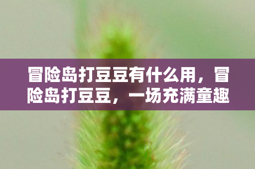 冒险岛打豆豆有什么用，冒险岛打豆豆，一场充满童趣与冒险的游戏之旅