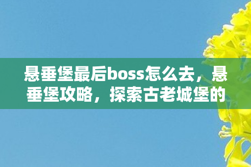 悬垂堡最后boss怎么去，悬垂堡攻略，探索古老城堡的奥秘