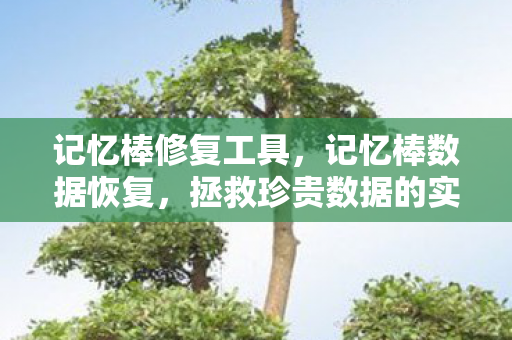 拯救珍贵数据的实用指南图片