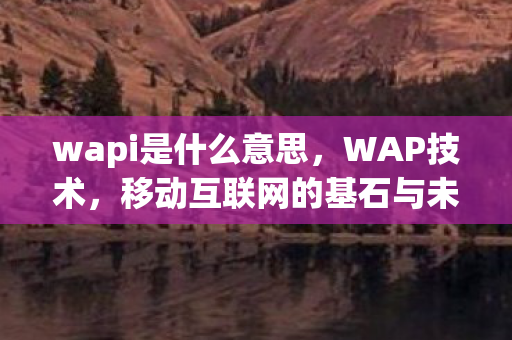 wapi是什么意思，WAP技术，移动互联网的基石与未来展望