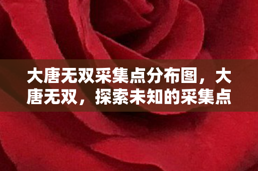 大唐无双采集点分布图,大唐无双,探索未知的采集点 大唐无双采集点分布图,大唐无双,探索未知的采集点