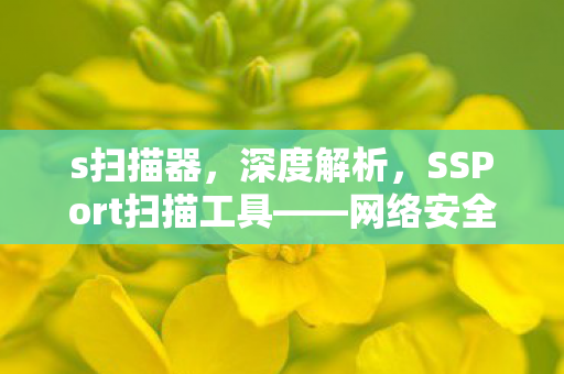s扫描器,深度解析,SSPort扫描工具——网络安全领域的得力助手 s扫描器,深度解析,SSPort扫描工具——网络安全领域的得力助手