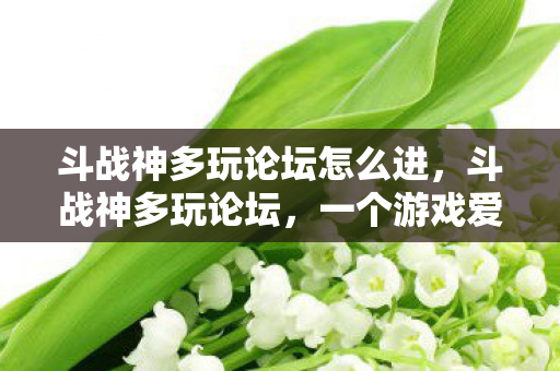 一个游戏爱好者的精神家园图片