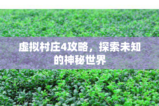 虚拟村庄4攻略，探索未知的神秘世界