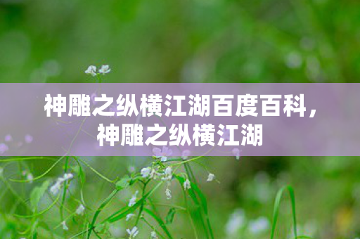 神雕之纵横江湖百度百科，神雕之纵横江湖