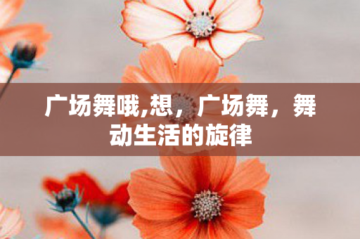 广场舞哦,想，广场舞，舞动生活的旋律