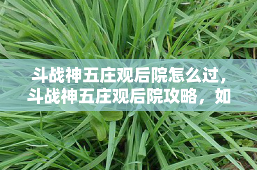 斗战神五庄观后院怎么过,斗战神五庄观后院攻略,如何轻松通关 斗战神五庄观后院怎么过,斗战神五庄观后院攻略,如何轻松通关