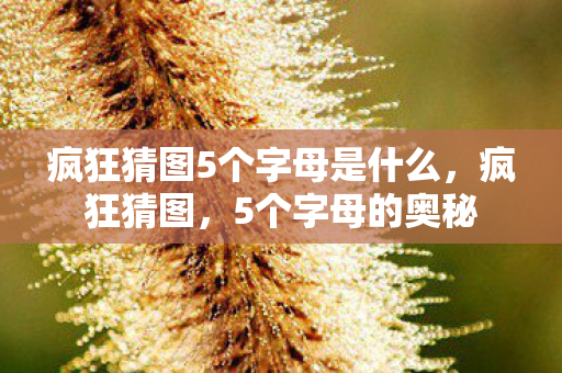 疯狂猜图5个字母是什么图片