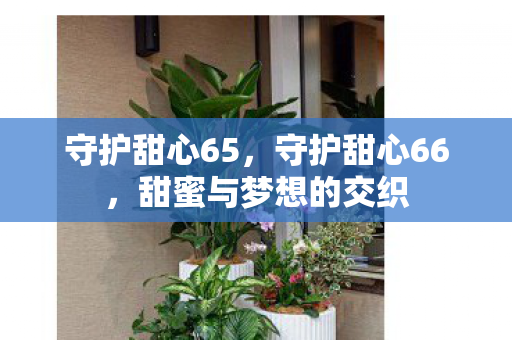 守护甜心65,守护甜心66,甜蜜与梦想的交织 守护甜心65,守护甜心66,甜蜜与梦想的交织