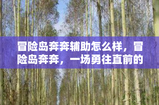 冒险岛奔奔辅助怎么样，冒险岛奔奔，一场勇往直前的冒险之旅