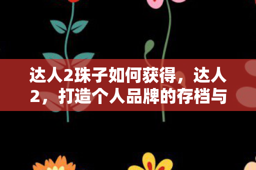 达人2珠子如何获得，达人2，打造个人品牌的存档与成长之路