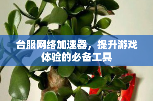 台服网络加速器，提升游戏体验的必备工具