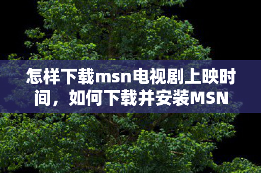 怎样下载msn电视剧上映时间，如何下载并安装MSN