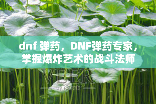 dnf 弹药，DNF弹药专家，掌握爆炸艺术的战斗法师