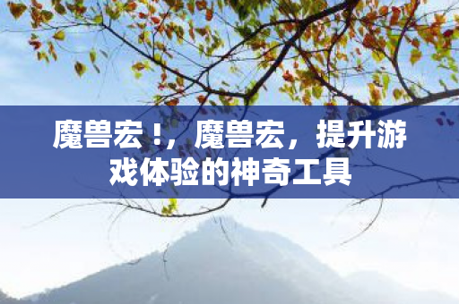 魔兽宏 !，魔兽宏，提升游戏体验的神奇工具
