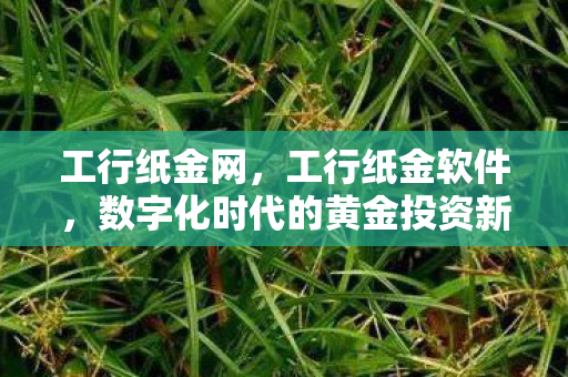 工行纸金网，工行纸金软件，数字化时代的黄金投资新选择