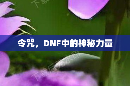 令咒，DNF中的神秘力量