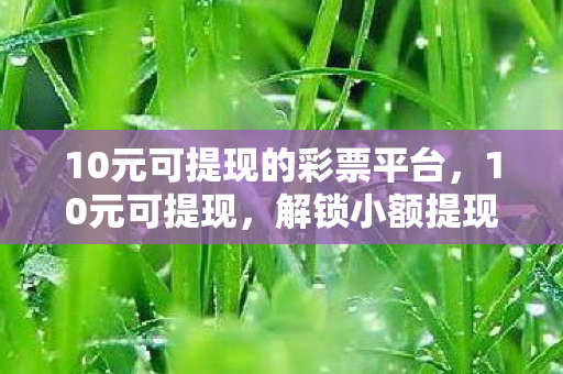 10元可提现的彩票平台，10元可提现，解锁小额提现的奥秘