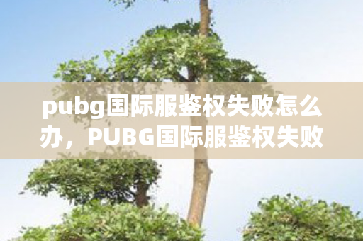 pubg国际服鉴权失败怎么办,PUBG国际服鉴权失败怎么办?教你轻松解决! pubg国际服鉴权失败怎么办,PUBG国际服鉴权失败怎么办?教你轻松解决!