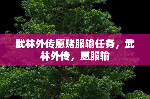 武林外传愿赌服输任务，武林外传，愿服输