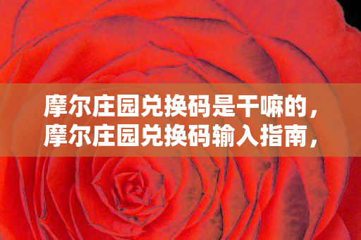 摩尔庄园兑换码是干嘛的，摩尔庄园兑换码输入指南，轻松获取丰厚奖励