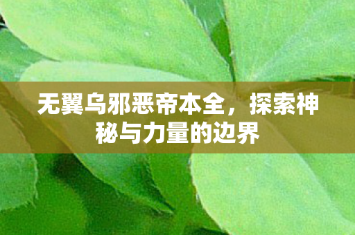 无翼乌邪恶帝本全,探索神秘与力量的边界 无翼乌邪恶帝本全,探索神秘与力量的边界