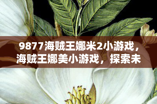 9877海贼王娜米2小游戏,海贼王娜美小游戏,探索未知海域的冒险之旅 9877海贼王娜米2小游戏,海贼王娜美小游戏,探索未知海域的冒险之旅