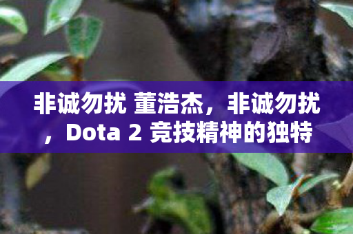 非诚勿扰 董浩杰，非诚勿扰，Dota 2 竞技精神的独特魅力