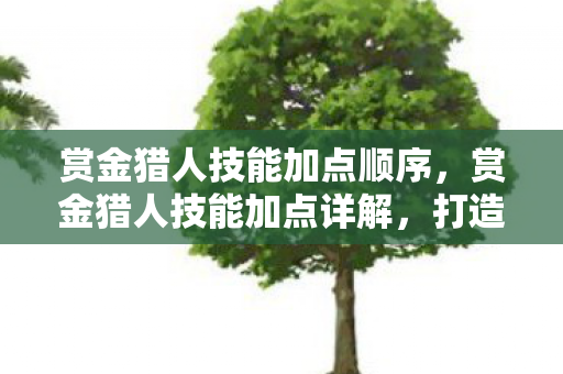 赏金猎人技能加点顺序,赏金猎人技能加点详解,打造高效战斗力的关键 赏金猎人技能加点顺序,赏金猎人技能加点详解,打造高效战斗力的关键