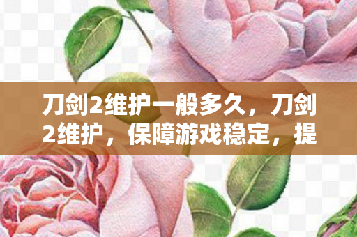 刀剑2维护一般多久，刀剑2维护，保障游戏稳定，提升玩家体验
