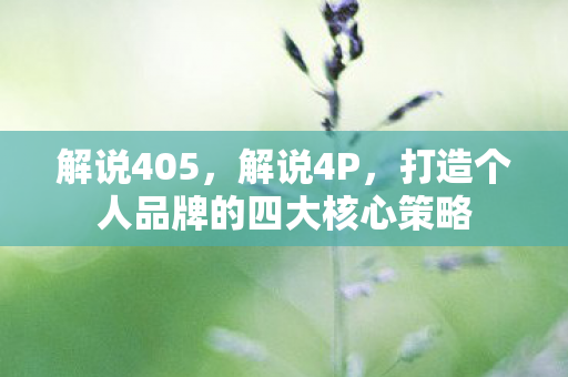 解说405，解说4P，打造个人品牌的四大核心策略