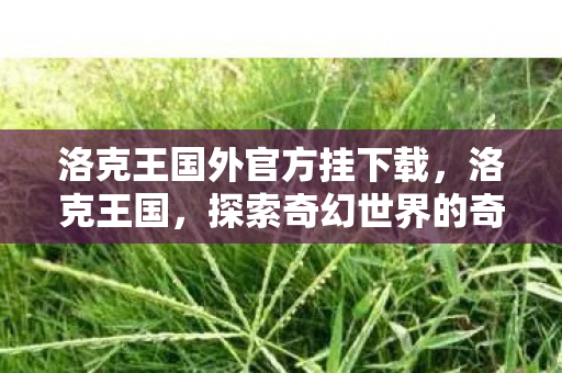 洛克王国外官方挂下载,洛克王国,探索奇幻世界的奇妙之旅 洛克王国外官方挂下载,洛克王国,探索奇幻世界的奇妙之旅