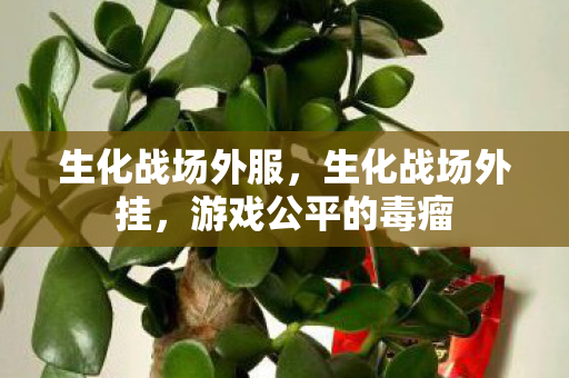生化战场外服,生化战场外挂,游戏公平的毒瘤 生化战场外服,生化战场外挂,游戏公平的毒瘤