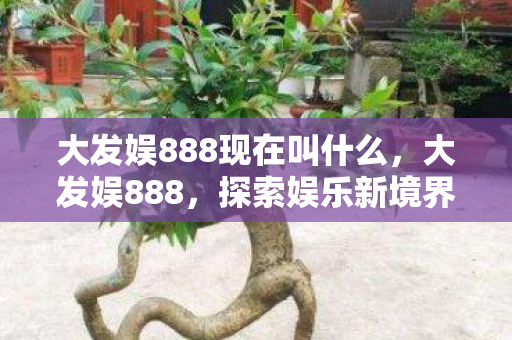 大发娱888现在叫什么图片