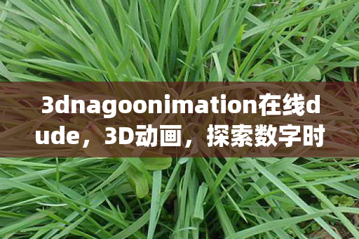 3dnagoonimation在线dude，3D动画，探索数字时代的创意无限