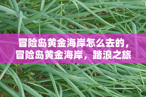 冒险岛黄金海岸怎么去的，冒险岛黄金海岸，踏浪之旅的极致体验