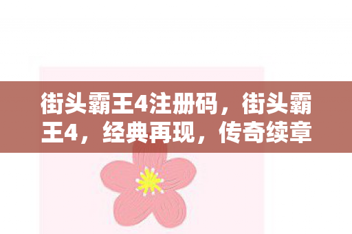 街头霸王4注册码图片