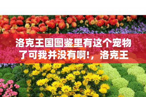 洛克王国图鉴里有这个宠物了可我并没有啊!，洛克王国物图鉴，探索神秘世界的奇妙之旅