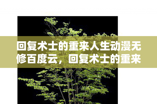 回复术士的重来人生动漫无修百度云，回复术士的重来人生，一部值得期待的动漫