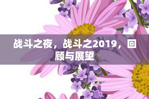 战斗之夜，战斗之2019，回顾与展望