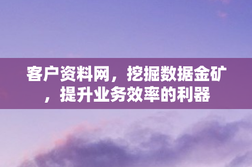 客户资料网,挖掘数据金矿,提升业务效率的利器 客户资料网,挖掘数据金矿,提升业务效率的利器