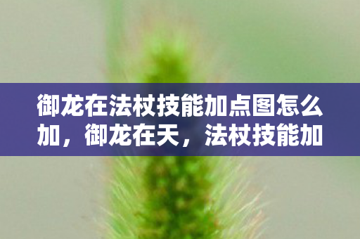 御龙在法杖技能加点图怎么加，御龙在天，法杖技能加点图详解