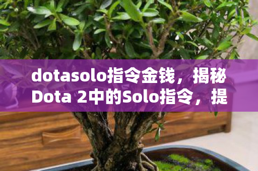 dotasolo指令金钱，揭秘Dota 2中的Solo指令，提升游戏技巧与策略